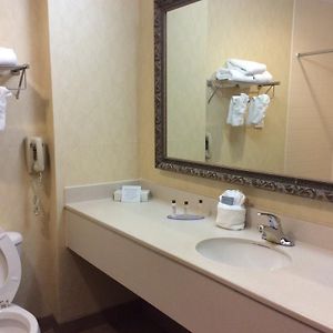 Queen Suite